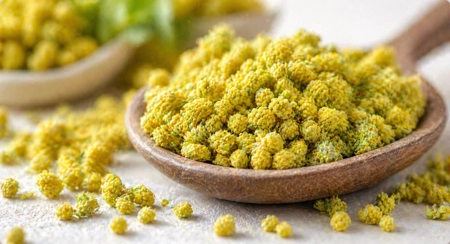 Akka quercetin ingredient